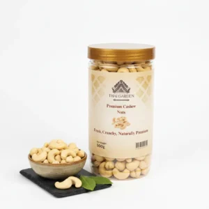 Premium Cashew Nuts 500g Jar in BD
